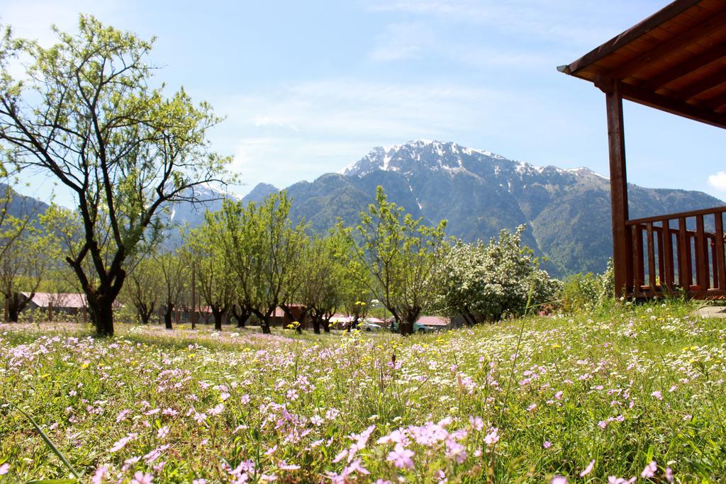 Villa Rustica Konitsa Exterior foto
