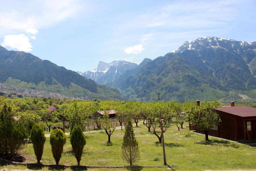 Villa Rustica Konitsa Exterior foto