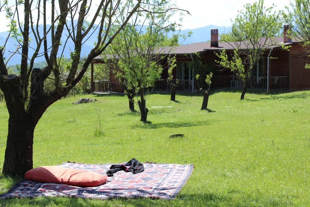 Villa Rustica Konitsa Exterior foto